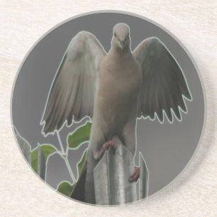 Posavasos De Arenisca Cae Angel Dove Coasters