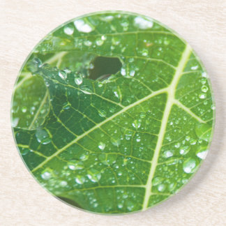 Posavasos De Arenisca Cae la lluvia en la hoja verde de papaya