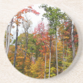 Posavasos De Arenisca Caída en la colorida fotografía de otoño en el bos