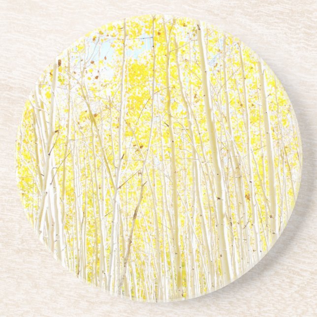 Posavasos De Arenisca Cake Aspen (Frente)