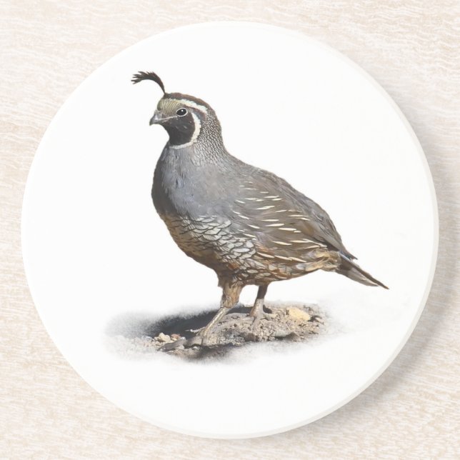 POSAVASOS DE ARENISCA CALIFORNIA QUAIL (Frente)