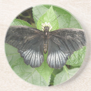 Posavasos De Arenisca Cámaras de bonito de mariposa tropical y flores
