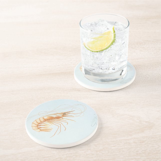 Posavasos De Arenisca Camarón o Langostino, Vida Marina Antigua Animales (Lado)