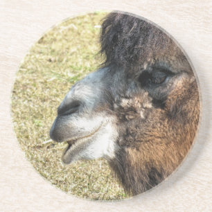 POSAVASOS DE ARENISCA CAMELLOS