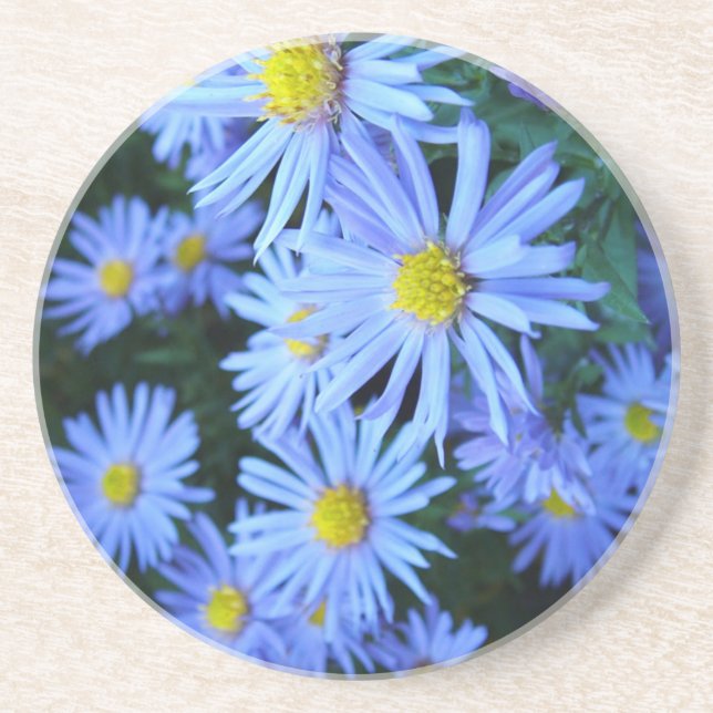 Posavasos De Arenisca Campo de flores azules (Frente)