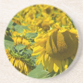 Posavasos De Arenisca Campo de girasoles amarillos