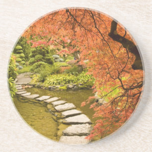 Posavasos De Arenisca CANADÁ, Columbia Británica, Victoria. Otoño