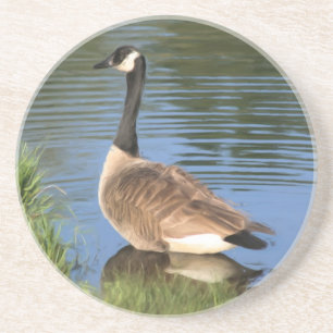 Posavasos De Arenisca Canada Goose Painting Animal Coaster