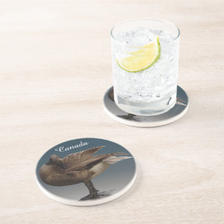 Posavasos De Arenisca Canadá Personalizado de la montaña rusa de la mont