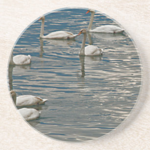 Posavasos De Arenisca Canto de Cisne