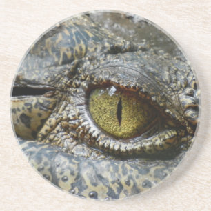 Posavasos De Arenisca cara de cocodrilo animal personalizado diy