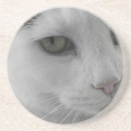 Posavasos De Arenisca Cara de gatos negros y blancos