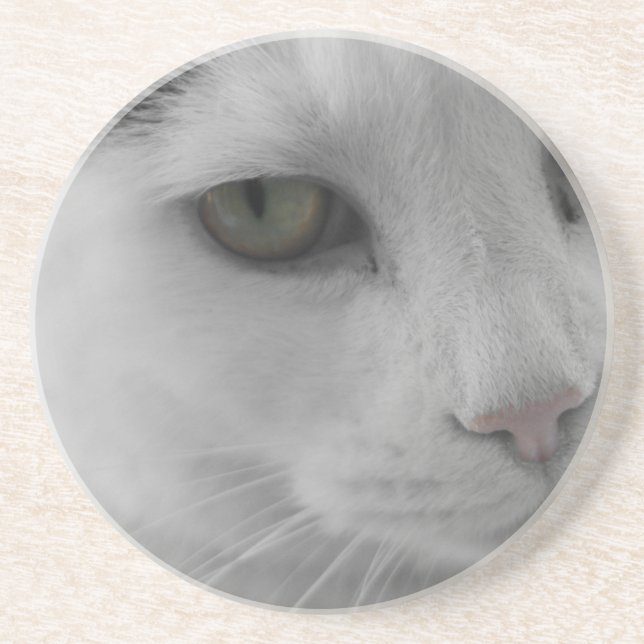 Posavasos De Arenisca Cara de gatos negros y blancos (Frente)