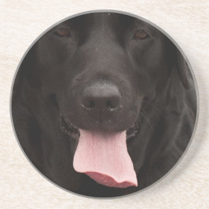Posavasos De Arenisca Cara de perro negro