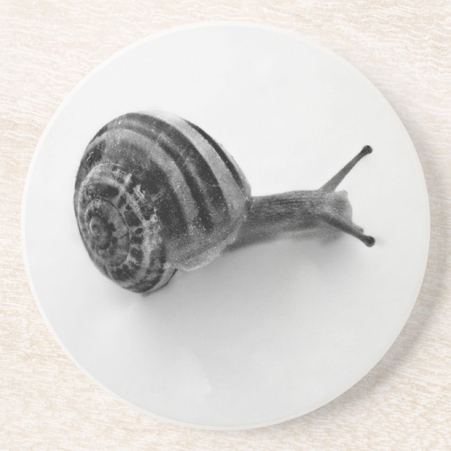 Posavasos De Arenisca Caracol B&W (Frente)