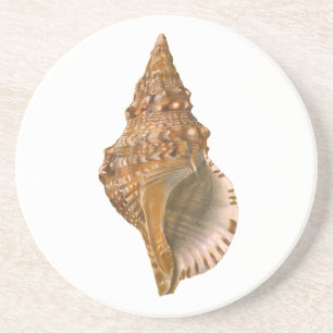 Posavasos De Arenisca Caracol de mar vintage Tritón, animal marino del o