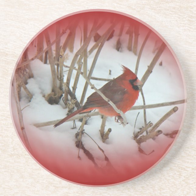Posavasos De Arenisca Cardinal oriental Songbird (Frente)