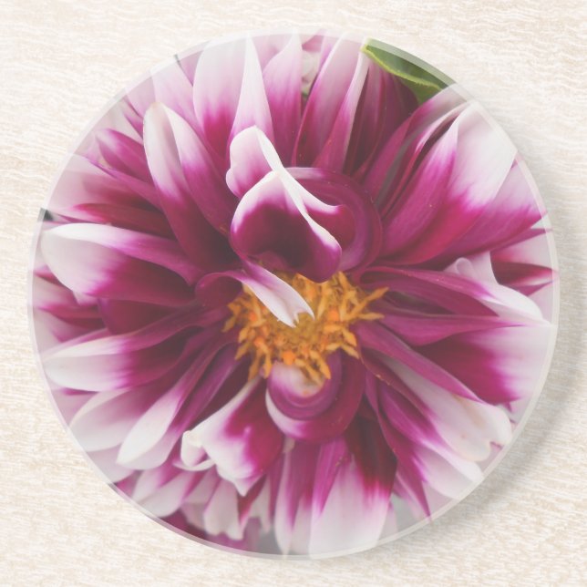 Posavasos De Arenisca Cartheuserin (Frente)