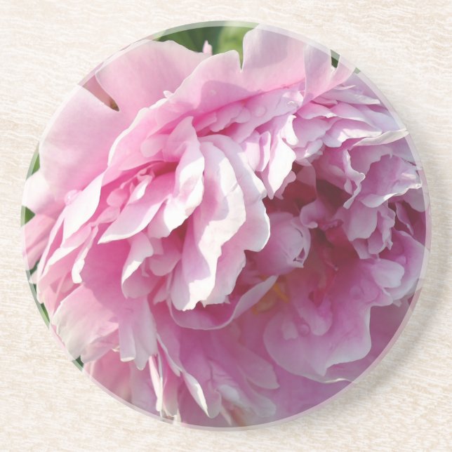 Posavasos De Arenisca Casa de campo de campo con flores de Pink Peony (Frente)