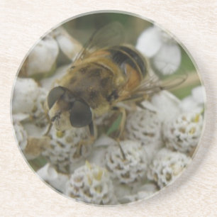 Posavasos De Arenisca Casas de abeja de miel y flores