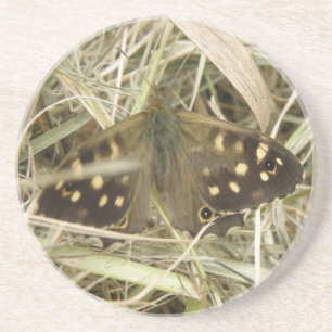 Posavasos De Arenisca Cáscaras de mariposa de madera escamoteada