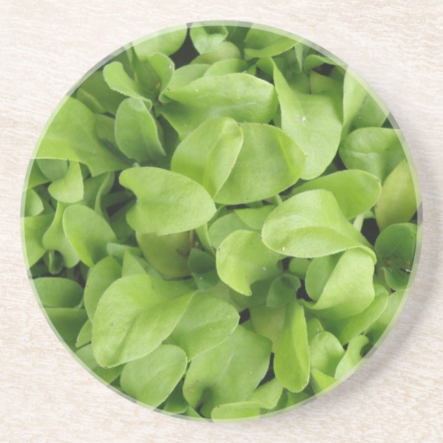 Posavasos De Arenisca Castillos de marigold (Frente)