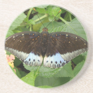 Posavasos De Arenisca Castillos de mariposa tropical bonito