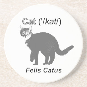 Posavasos De Arenisca Cat Felis Catus