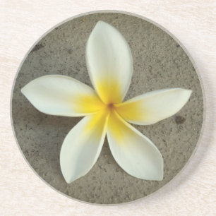 Posavasos De Arenisca Catastro de flores de plumeria hawaii