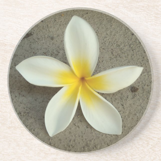 Posavasos De Arenisca Catastro de flores de plumeria hawaii (Frente)