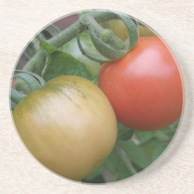 Posavasos De Arenisca Catastro de Tomates naranjas y Rojos (Frente)