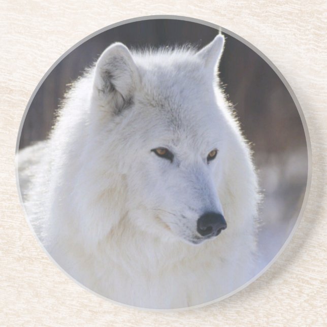 Posavasos De Arenisca Catastro del Lobo Ártico (Frente)