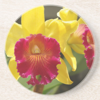 Posavasos De Arenisca Cattleya amarillo