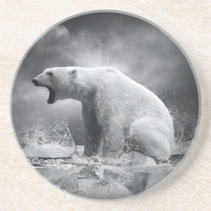 Posavasos De Arenisca Cazador blanco del oso polar en el hielo en agua