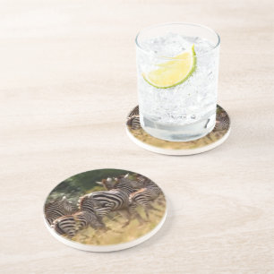 Posavasos De Arenisca Cebras en movimiento: Un viaje de mil millas