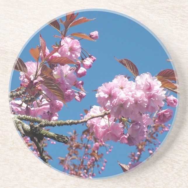 Posavasos De Arenisca Cerezo en flor (Frente)