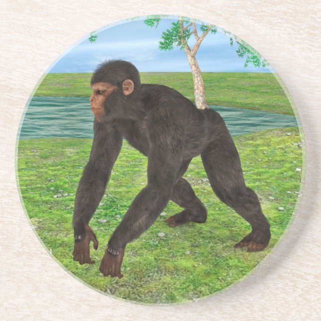 Posavasos De Arenisca Chimpancé (Frente)