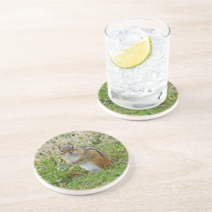 Posavasos De Arenisca Chipmunk oriental