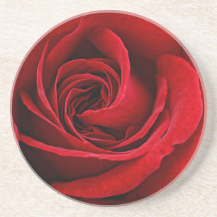 Posavasos De Arenisca Cierre brillante del rosa rojo para arriba