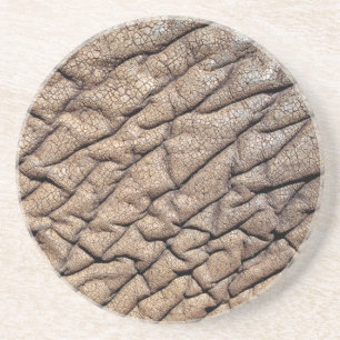 Posavasos De Arenisca Cierre del escondite de los elefantes africanos