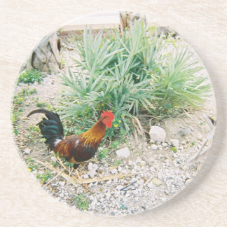 Posavasos De Arenisca Coaster_Rooster