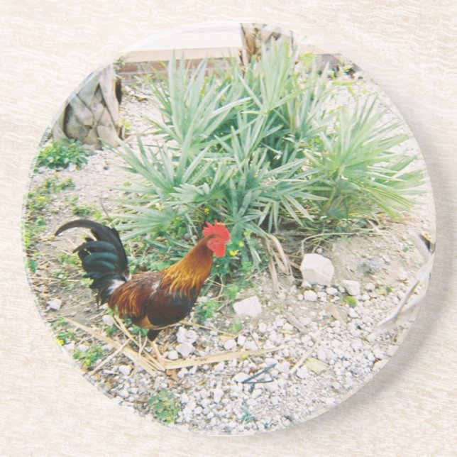Posavasos De Arenisca Coaster_Rooster (Frente)