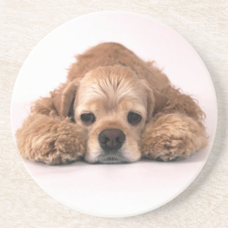 Posavasos De Arenisca Cocker spaniel lindo