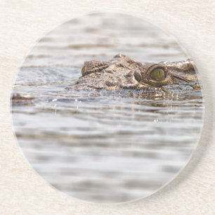 Posavasos De Arenisca Cocodrilo del Nilo