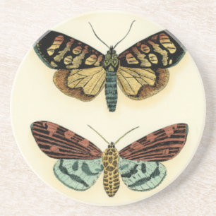 Posavasos De Arenisca Colección de mariposas por Chariklia Zarris