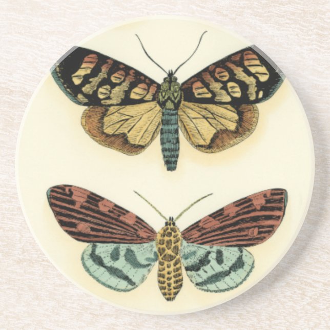 Posavasos De Arenisca Colección de mariposas por Chariklia Zarris (Frente)