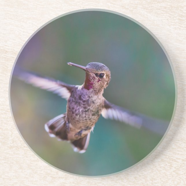 Posavasos De Arenisca Colibrí (Frente)