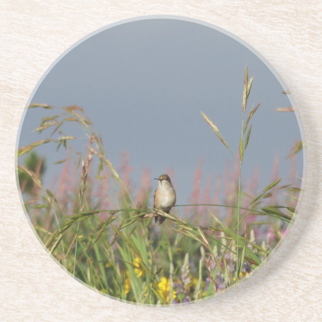 Posavasos De Arenisca Colibrí gorda (Frente)