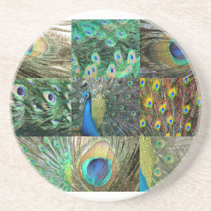 Posavasos De Arenisca Collage azulverde de la foto del pavo real