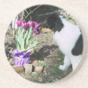 Posavasos De Arenisca Collie Pup huele las flores